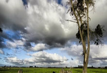 波兰主帅：如果因扎吉生气了向他道歉；我与卡什没有不和.