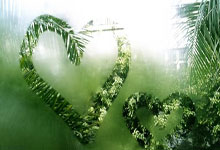 壹号娱乐官网：全国春季游泳锦标赛男子400米自由泳决赛孙杨摘银央视体育.