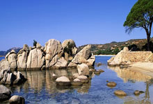 [CBA]陆文博分球底角 王奕博三分出手一箭穿.